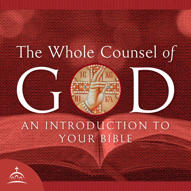 The Whole Counsel of God artwork