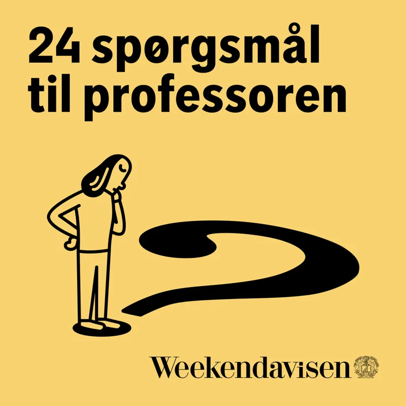 24 spørgsmål til professoren artwork