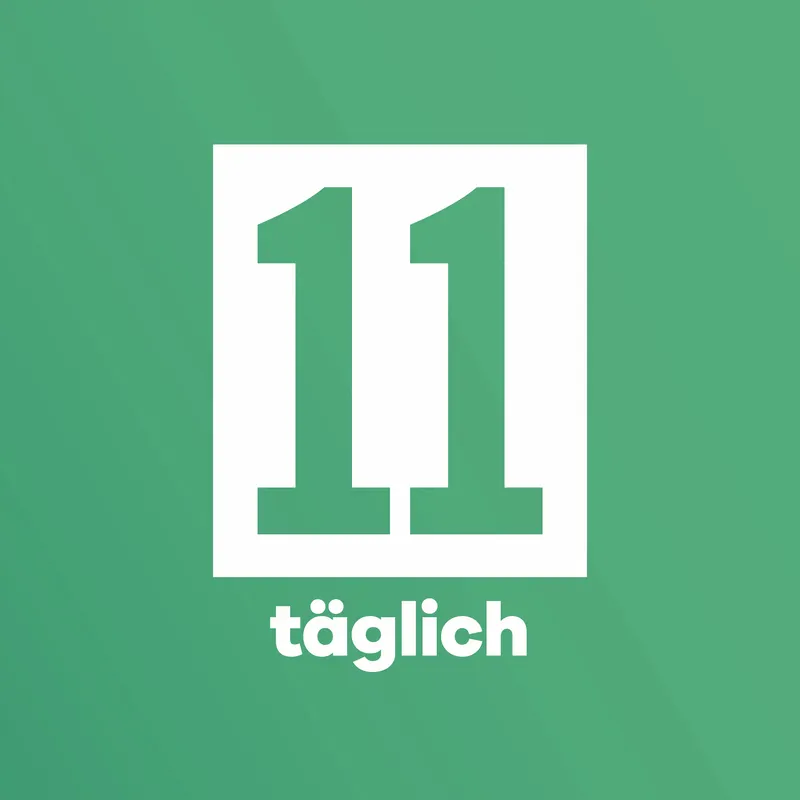 11FREUNDE täglich artwork