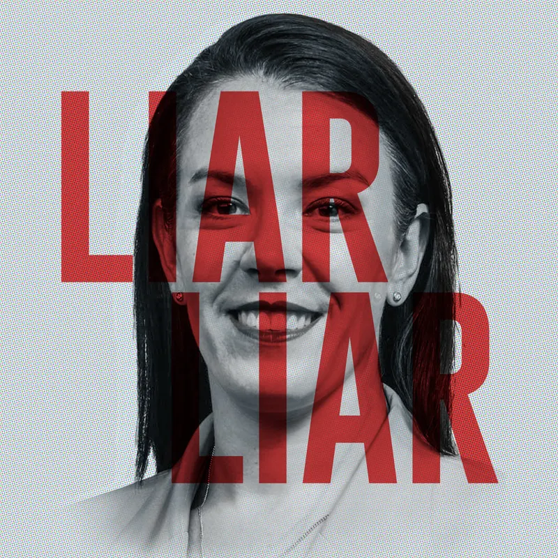 Liar, Liar: Melissa Caddick and the Missing Millions artwork