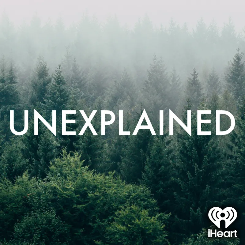 Unexplained artwork