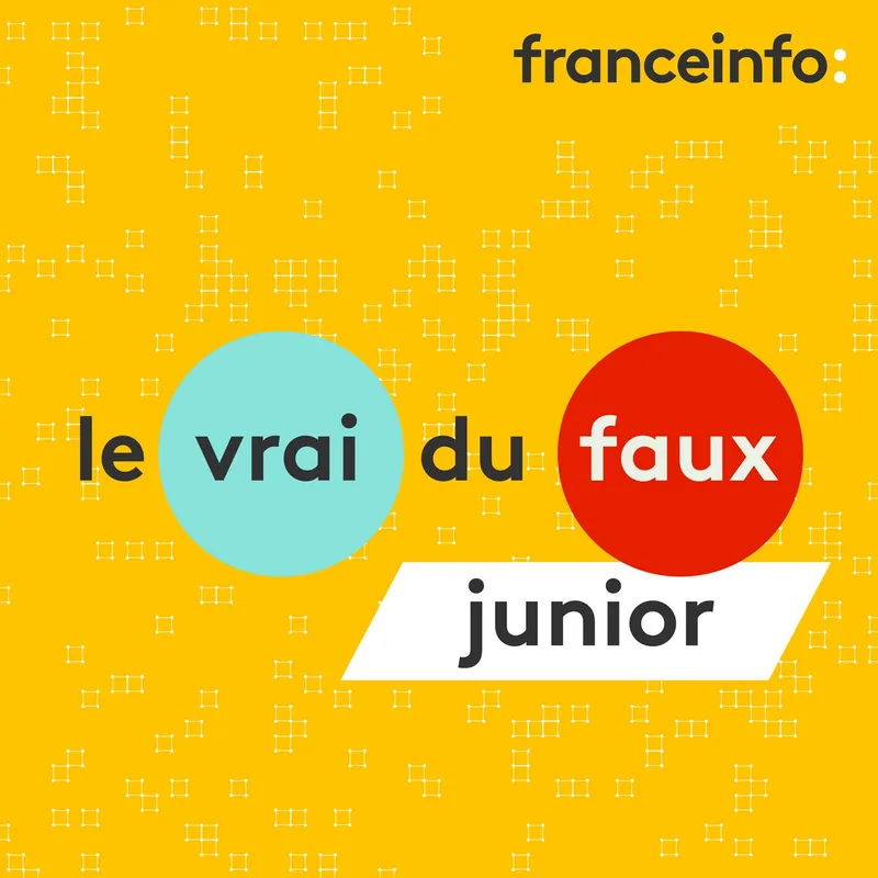 Le vrai ou faux junior artwork