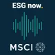 ESG Now artwork