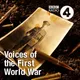 Voices of the First World War artwork