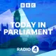Today in Parliament artwork