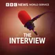 The Interview artwork