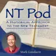 NT Pod artwork