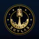 Radio Skylab artwork