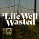 A Life Well Wasted artwork