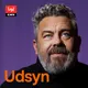 Udsyn artwork