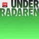Under Radaren artwork