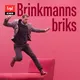 Brinkmanns briks artwork