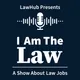 I Am The Law artwork
