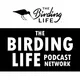 The Birding Life Podcast Network artwork
