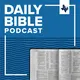 Daily Bible Podcast artwork