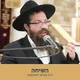 השיחה, הרב מנחם דוברוסקין artwork