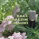 Real Herbalism Radio artwork