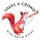 Trees A Crowd artwork