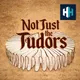 Not Just the Tudors artwork