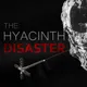 The Hyacinth Disaster artwork