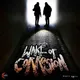 Wake Of Corrosion artwork