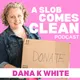 A Slob Comes Clean artwork