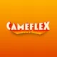 Caméflex artwork