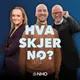 Hva skjer no? artwork