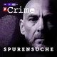 stern Crime - Spurensuche artwork
