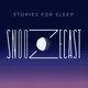 Snoozecast artwork