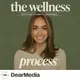 The Wellness Process artwork