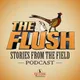The Flush Podcast - Stories from the field artwork