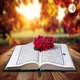 Quran Study Weekly artwork
