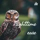 Nighttime ease artwork