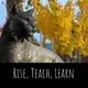 Rise, Teach, Learn artwork