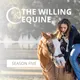 The Willing Equine artwork