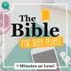 The Bible For Busy People artwork