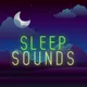 Sleep Sounds artwork
