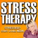 Stress Therapy with Cheri Flake: Meditation & Stress Relief for Real Life artwork