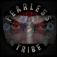 FearLess with Frank Castle artwork