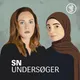 SN Undersøger artwork