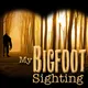 My Bigfoot Sighting artwork