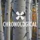 1 Year Daily Audio Bible Chronological artwork
