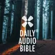1 Year Daily Audio Bible artwork