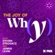 The Joy of Why artwork