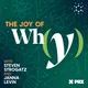 The Joy of Why artwork
