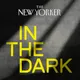In The Dark artwork