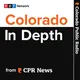 Colorado In Depth artwork