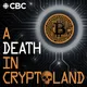 A Death In Cryptoland artwork