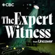 The Expert Witness from Uncover artwork